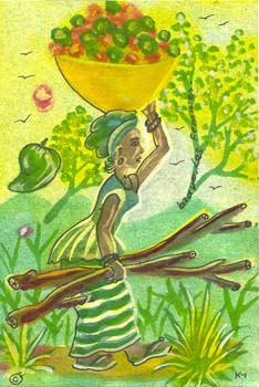 E-cartes : Omar Fassar Diouf - 7